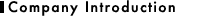 Company Introduction